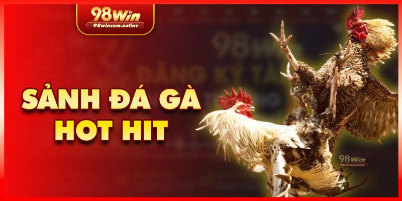 Sảnh đá gà AOG là gì?