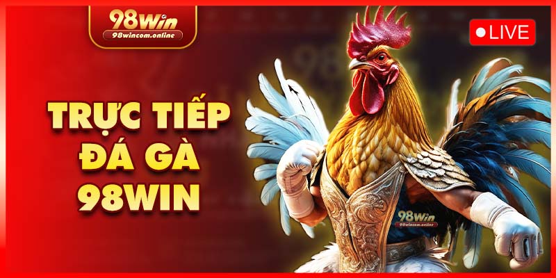 Trực tiếp đá gà siêu mượt tại 98WIN